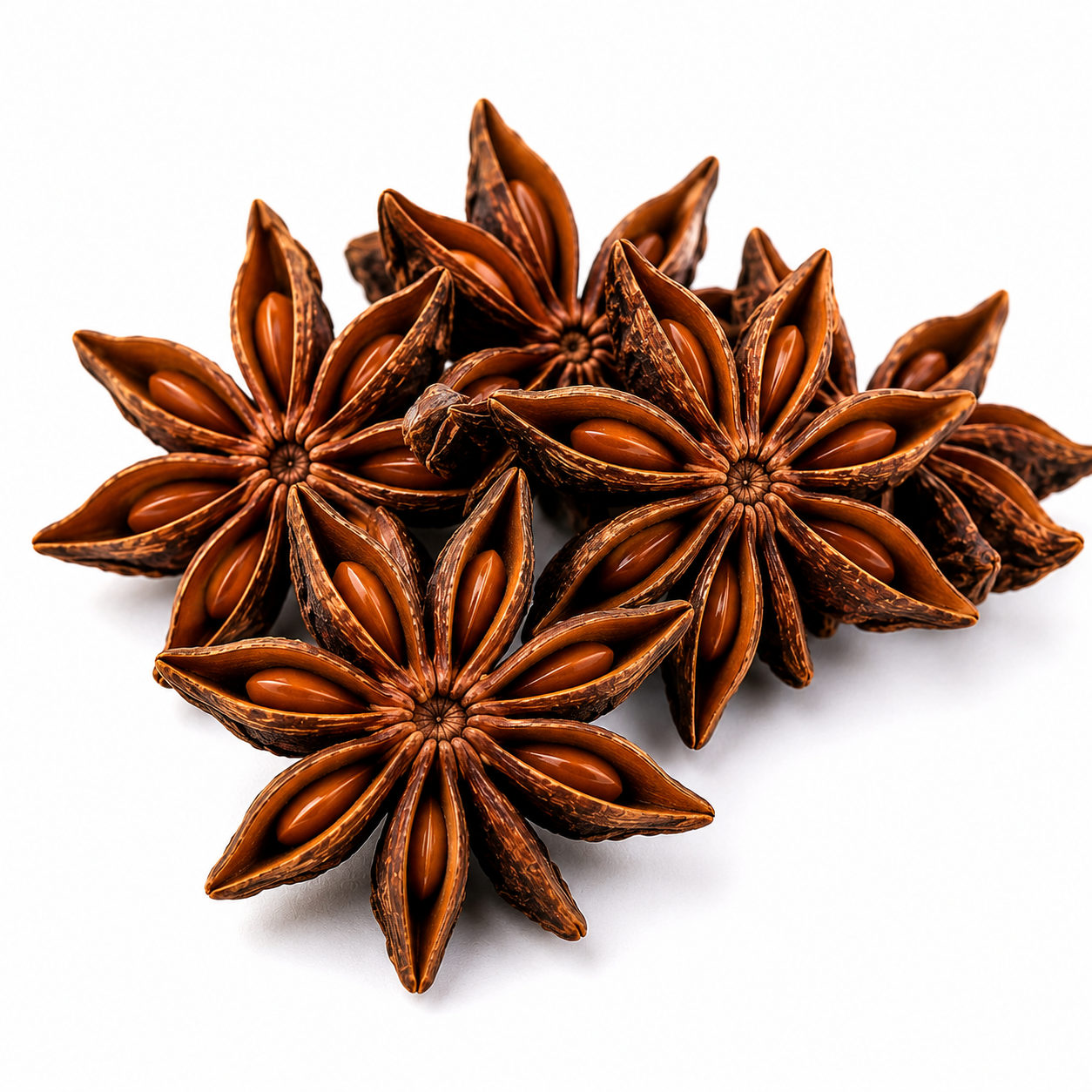 Premium Whole Star Anise | Aromatic Spice | Waga Spices